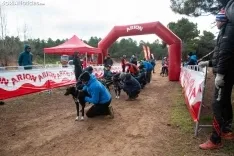 Mushing conquista Ólvega / María Ferrer