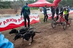 Mushing conquista Ólvega / María Ferrer