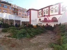 Imágenes del reparto de pinos esta mañana. SN