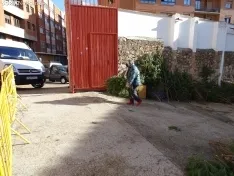 Imágenes del reparto de pinos esta mañana. SN