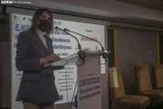 Una imagen de la presentación del plan. /SN