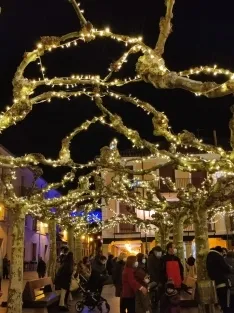 Foto 6 - El Burgo de Osma da el pistoletazo de salida a la Navidad con el encendido de sus luces 