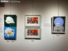 Foto 4 - La exposici&oacute;n 'Filias y Fobias' llega al Palacio de la Audiencia