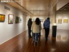 Foto 5 - La exposici&oacute;n 'Filias y Fobias' llega al Palacio de la Audiencia