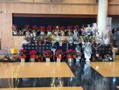 Mercado Navideño en Ólvega.