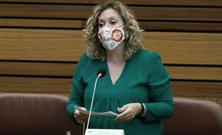 Rechazadas enmiendas del PSOE soriano para las cuentas regionales