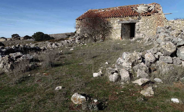 Cuatro consejeros de cuatro comunidades autonómas abordan la problemática de las zonas deshabitadas el jueves en Ágreda