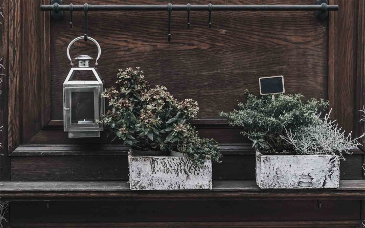 Ólvega celebra su cuarto concurso de decoración navideña de fachadas