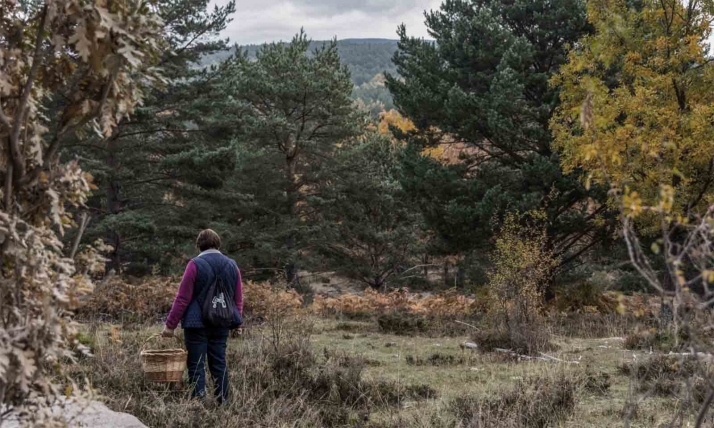 Aumenta el número de micoturistas en una campaña irregular