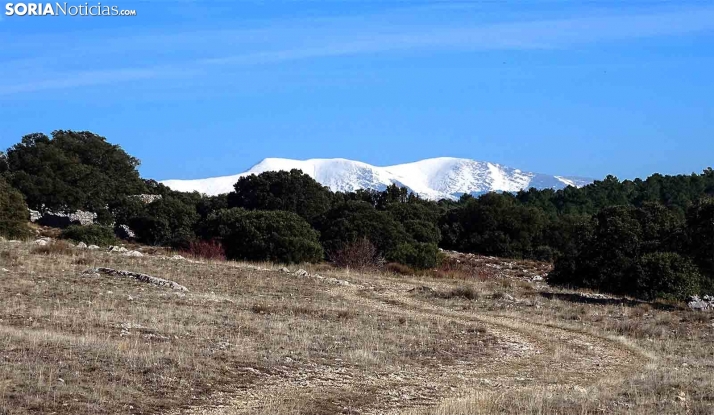Podemos alega al Plan Hidrológico para defender al Moncayo
