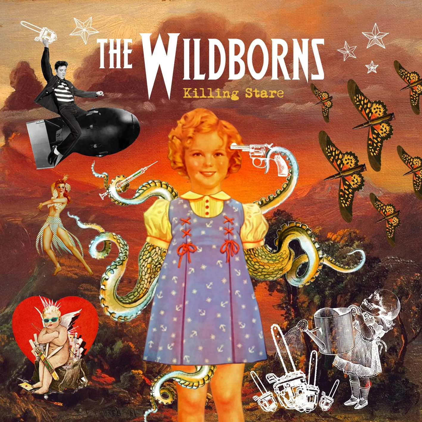Foto 2 - El grupo soriano 'The Wildborns' presentar&aacute; su nuevo disco en un concierto en el Palacio de la Audiencia