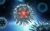 Imagen microscópica de un coronavirus. 