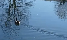 Una imagen del río este mediodía de sábado. /SN