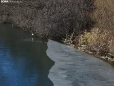 Una imagen del río este mediodía de sábado. /SN