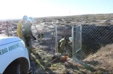 Diligencias de la Guardia Civil.