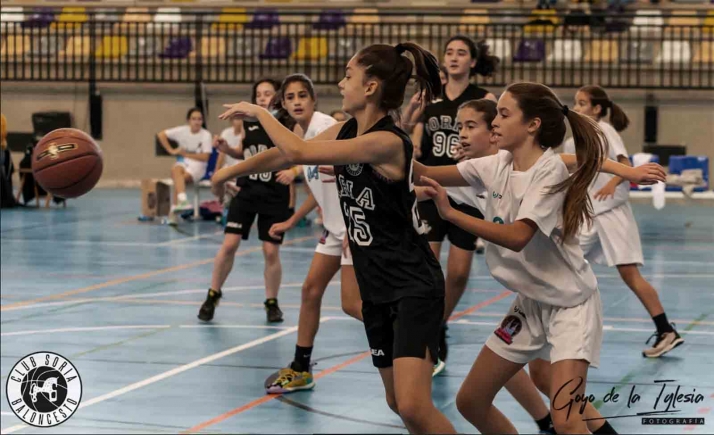 El Club Soria Baloncesto se medirá a las mejores canteras de la región en el Autonómico preinfantil