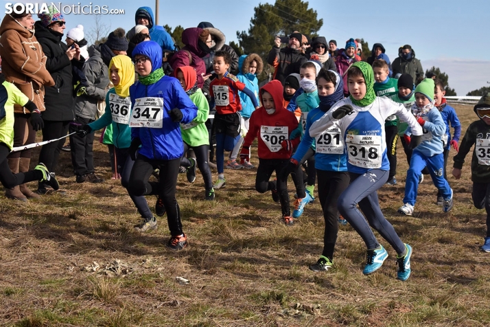Los escolares de toda la provincia se darán cita en el Cross de los Llamosos