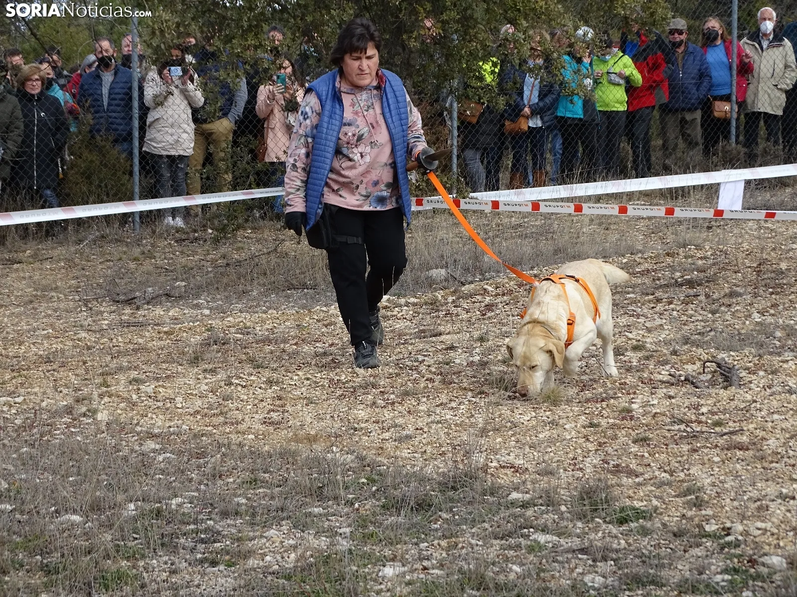 Una imagen de este mediodía en Abejar. /SN