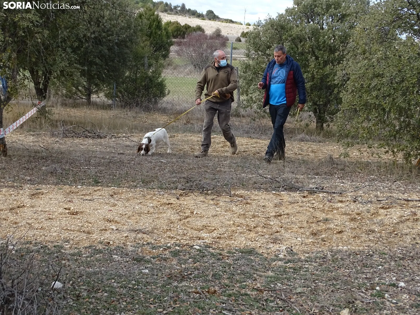 Una imagen de este mediodía en Abejar. /SN