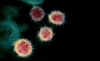 Micrografía de viriones de SARS-CoV-2. /NIAID