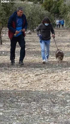 Una imagen de este mediodía en Abejar. /SN