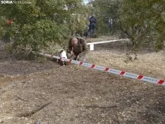 Una imagen de este mediodía en Abejar. /SN