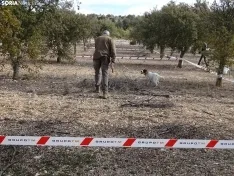 Una imagen de este mediodía en Abejar. /SN