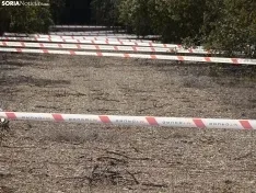 Una imagen de este mediodía en Abejar. /SN