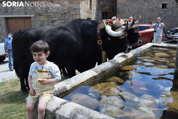 Batería de subvenciones culturales de la Diputación de Soria. Todo lo que necesitas saber