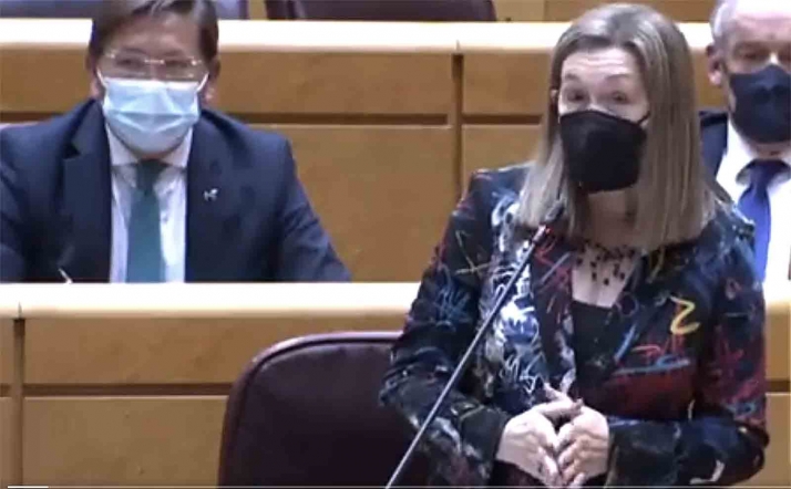 Heredia pregunta por fechas, empresas y medidas concretas para la fiscalidad diferenciada