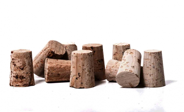 Parkinson Soria lanza el proyecto Corcho