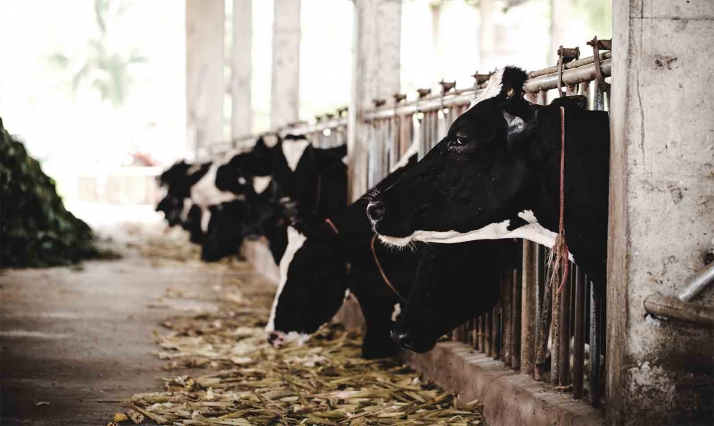 Valle de Odieta interpone demanda por injurias y calumnias a asociaciones ecologistas 