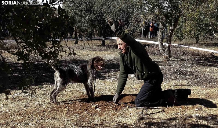 Cesefor impartirá 15 cursos de formación forestal en Castilla y León este 2022