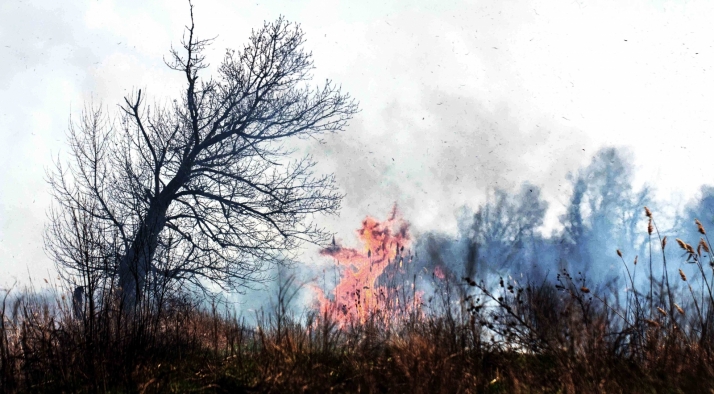 El peligro medio de incendios forestales estará vigente hasta el martes