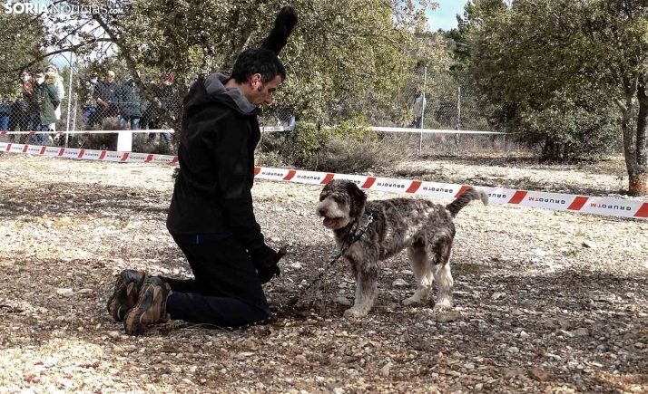 GALERÍA: Abejar, de caza trufera