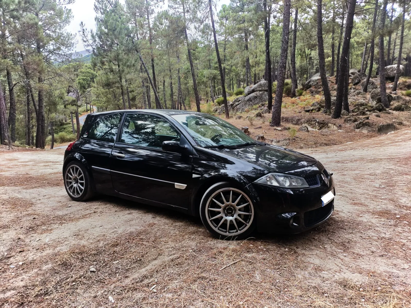 Alguno de los coches participantes.