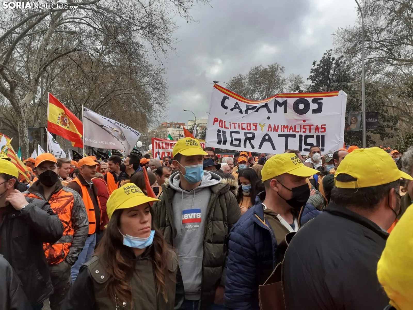 Una imagen de la manifestación hoy en Madrid. /SN