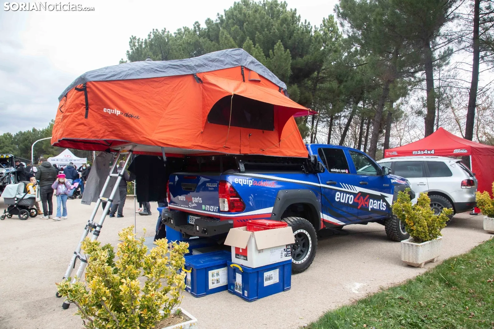 Albardillas 4x4 / María Ferrer