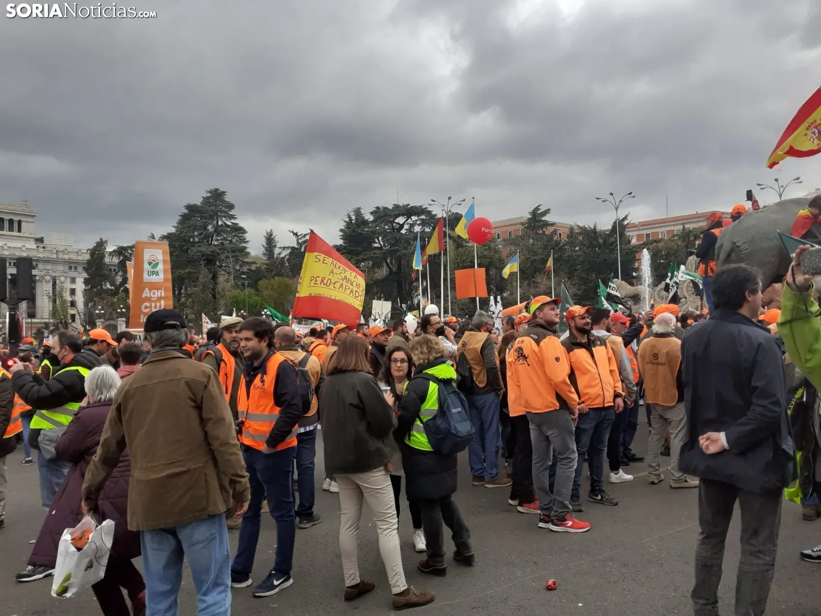 Una imagen de la manifestación hoy en Madrid. /SN