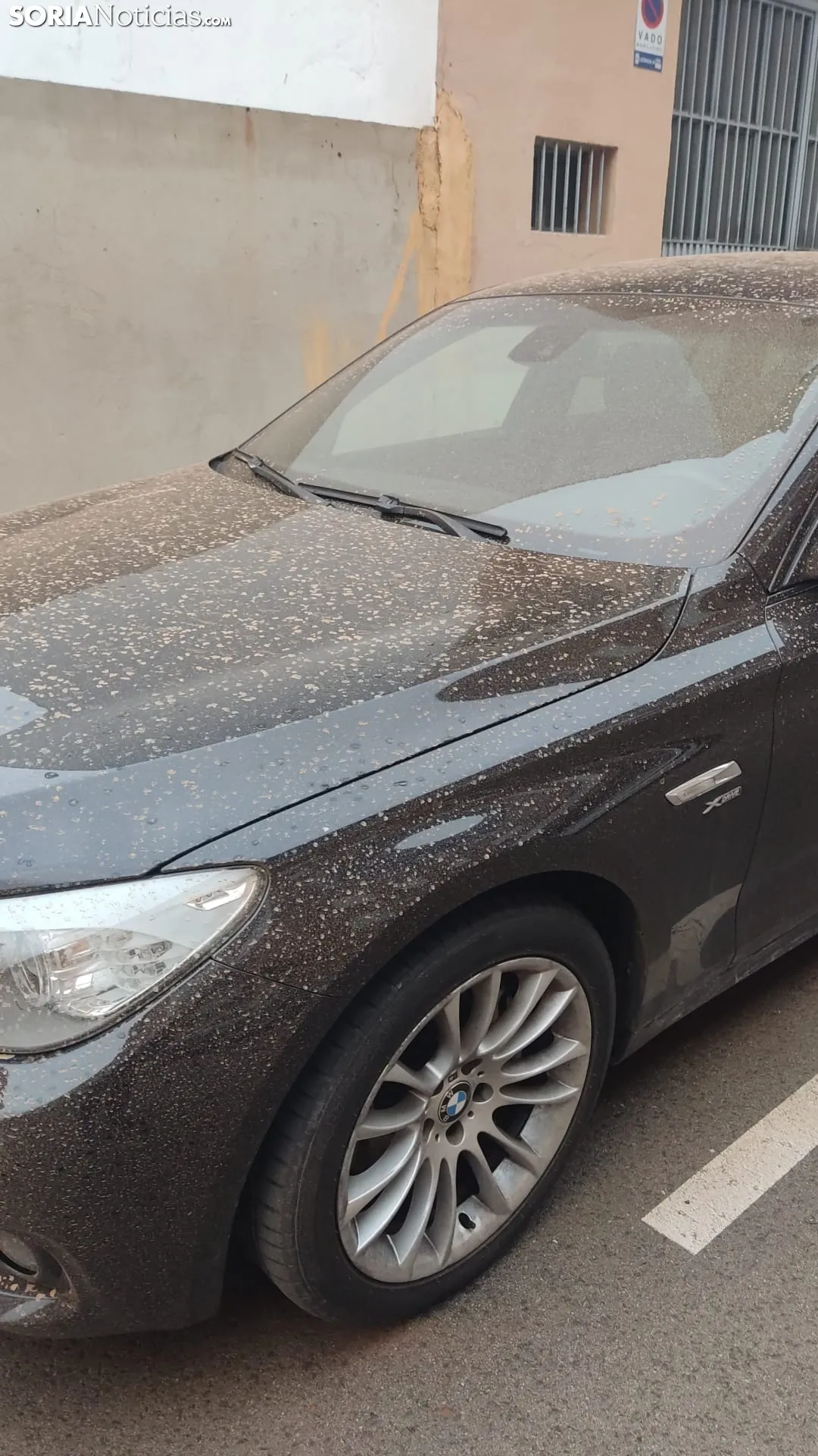 Lluvia de barro en Castilla y León. 