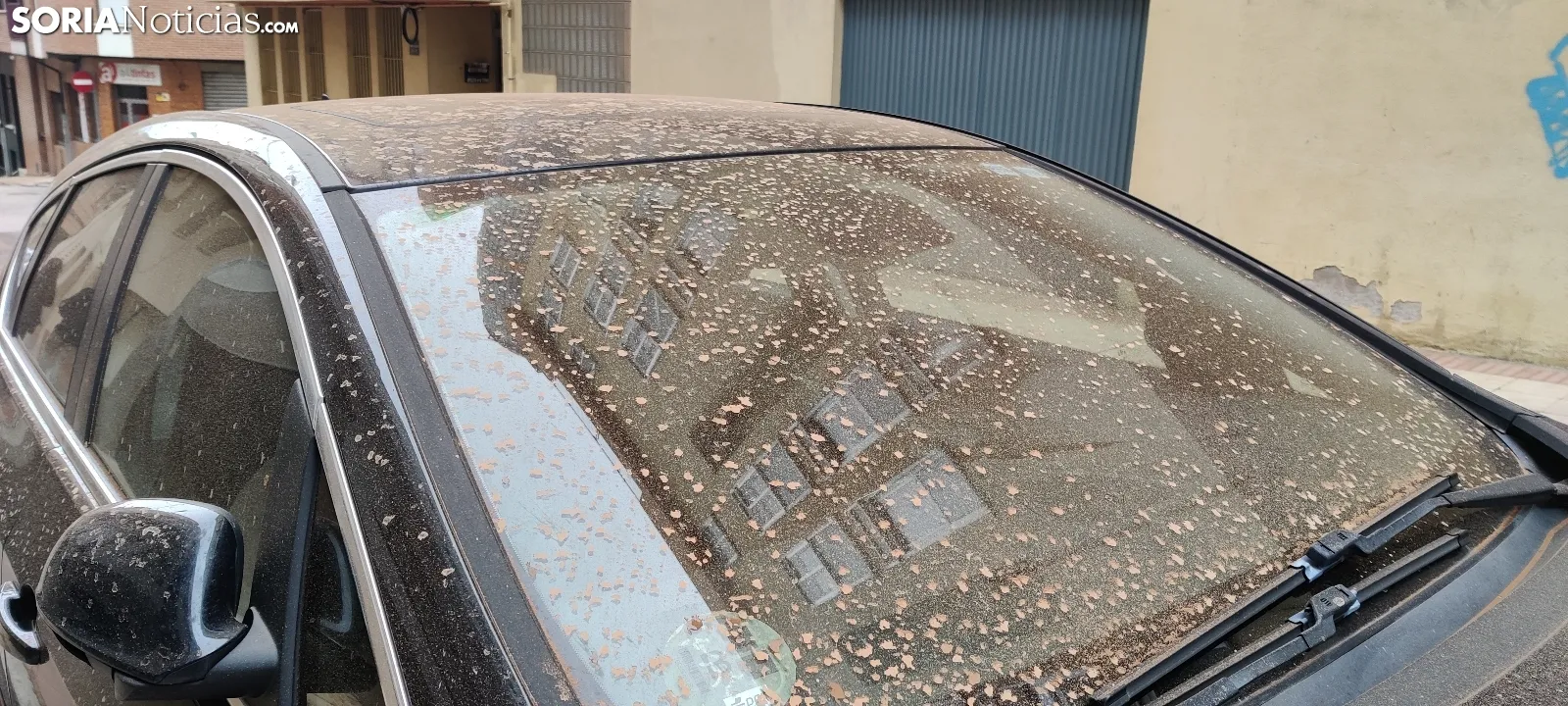 Lluvia de barro en Castilla y León. 