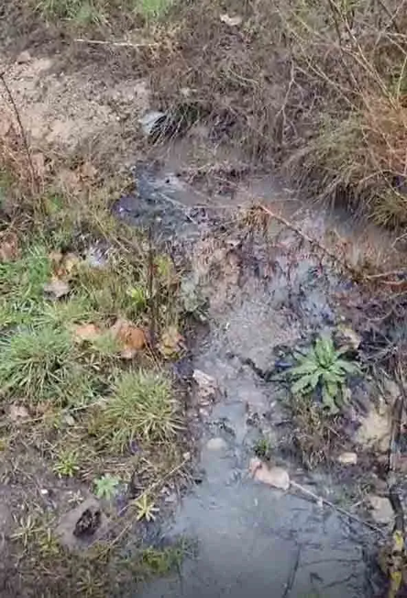 Una imagen de la canalización y el vertido. /PP
