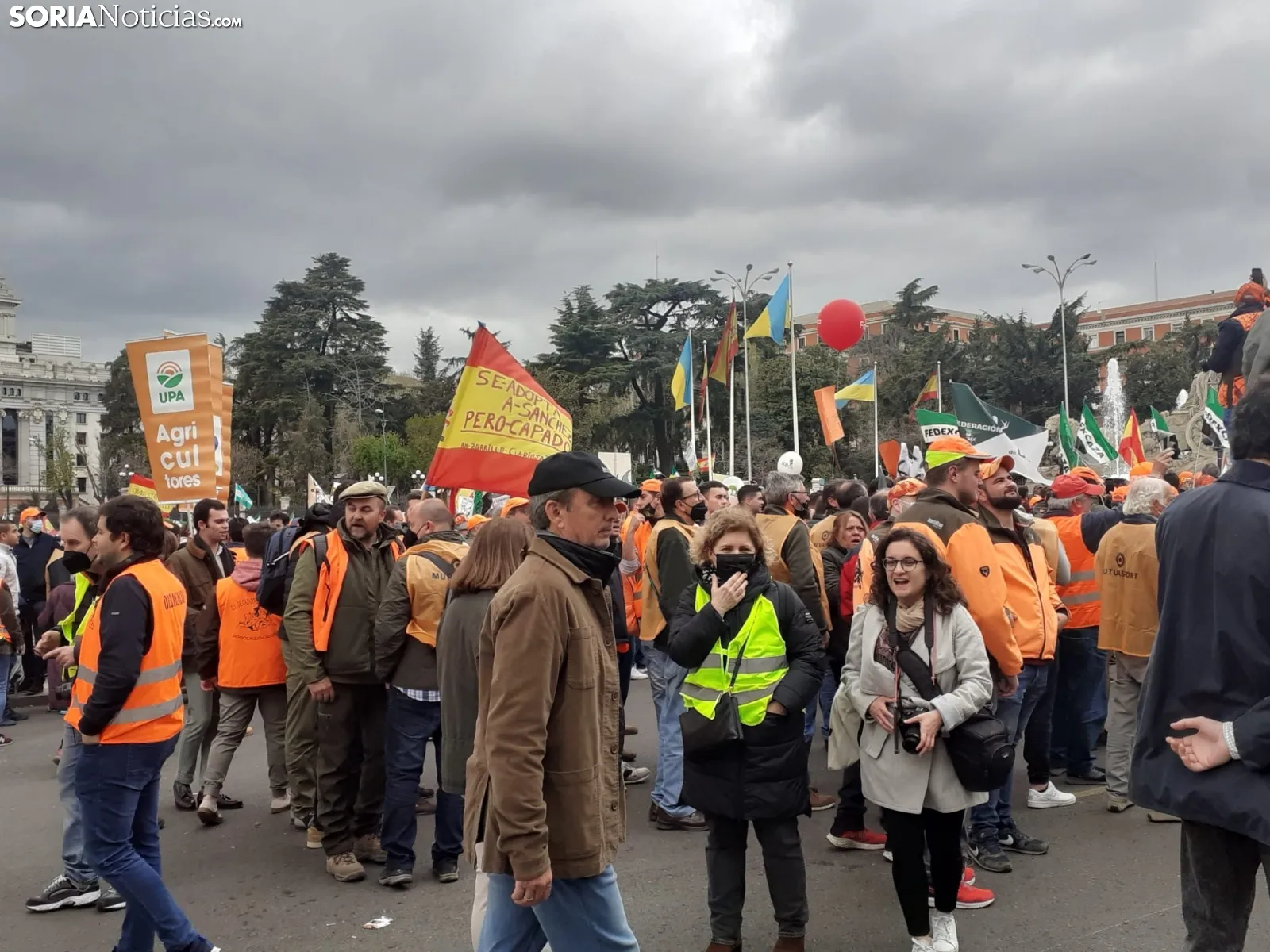 Una imagen de la manifestación hoy en Madrid. /SN