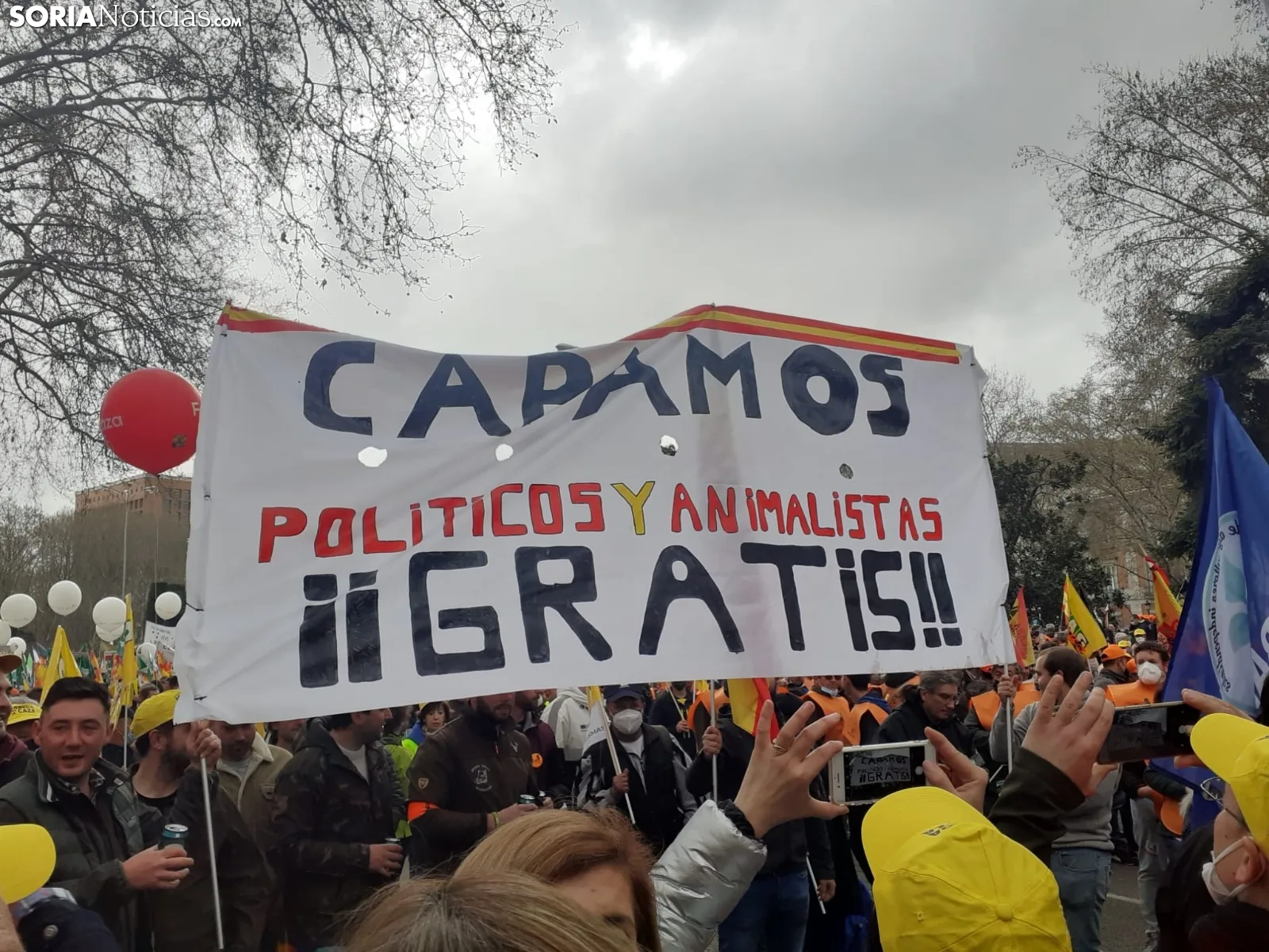 Una imagen de la manifestación hoy en Madrid. /SN