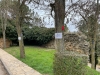Foto 1 - El PP de Soria contrario a la tala “indiscriminada” de árboles en el Castillo 