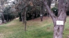 Árboles en el parque del castillo. /Hacendera-ASDEN