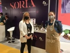 Una imagen del stand de la provincia de Soria hoy en Madrid. /Dip
