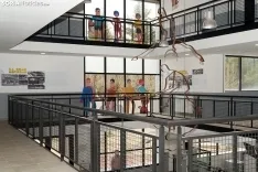 Polideportivo La Juventud /Cirilo vargas