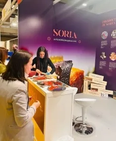 Una imagen del stand de la provincia de Soria hoy en Madrid. /Dip