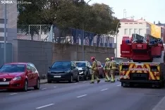 Buitre en Soria Capital / Cirilo Vargas
